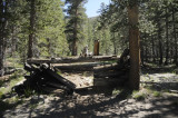 Remains of a Miners Cabin