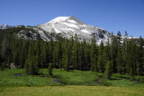 View along the Mono Pass trail
