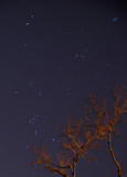 Orion - A Winter Constellation