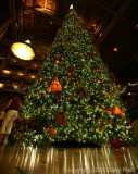 Christmas tree at Fort Wilderness Lodge