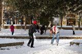 Snowball Fight