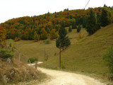 limestone path