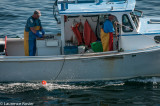 Lobster Fishermen, Bar Harbor