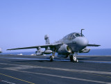 AG503P VAQ140.jpg