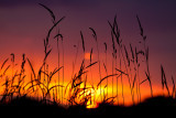 _MG_4569.jpg