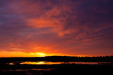 _MG_3046.jpg