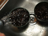 P2282347sm.jpg