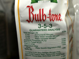 P3142400sm.jpg