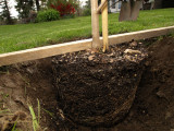 P4257718sm.jpg