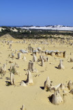 Pinnacles Desert