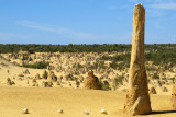 Pinnacles Desert View