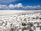 White Sand near Jurien Bay