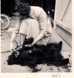 granny gives dog a haircut