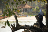 Karang Taraje dr Pulau Manuk