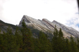 Icefield road in Jasper