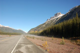 Icefield Parkway Jasper