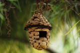 bird nest - made in China
