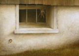 Dry corn_Detail_01.JPG