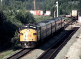 via6515east_at_obed.jpg