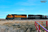 bnsf9908_east_at_tampa.jpg