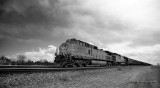 BNSF 4802 North At North Longs Peak Siding, CO