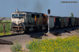 bnsf9570_at_mp498.3.jpg