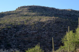 Saguaro-covered Santa Catalina foothills