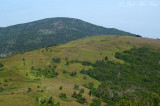 View of Round Bald from Jane Bald