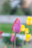 DSC_3652-2.jpg