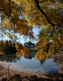 Pond View in the Fall