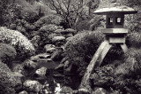 Lantern Dreams