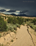 arroyo before the rains