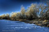 kiowa creek bed