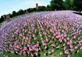 Memorial Day 2012 Boston Commons
