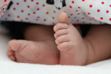 2011-03-27 Little Feet_P003.jpg