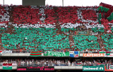 MOSAICO TRICOLOR2.jpg