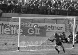 koncilia olha - roberto faz brasil 1 austria zero.jpg