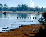 Lower Tillamook Bay At Low Tide