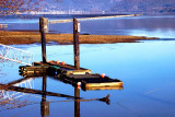 Reflections