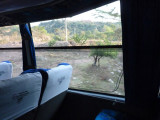 Bus to San Vicente 3