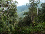 View from ridge at Cerulean Warbler Reserve / RNA Reinita Cielo Azul