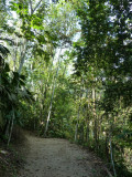 Riverside Trail - Blue-billed Curassow Reserve / RNA El Paujil