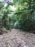 Riverbed along trail A, Blue-billed Curassow Reserve / RNA El Paujil