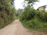 View from the road, Chestnut-capped Piha Reserve / RNA Arrierito Antioqueno