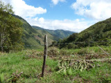 Road from Urrao to El Carmen del Atrato