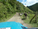 Road from Urrao to El Carmen del Atrato