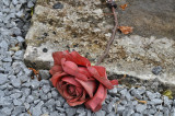 DSC_0995.jpg