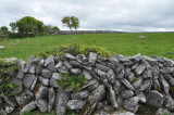 DSC_1145.jpg