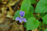 DSC_2080.jpg