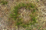 DSC_2945.jpg